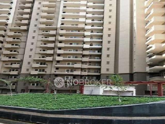 3 BHK Flat In Awho Shanti Vihar for Rent In Sector 95