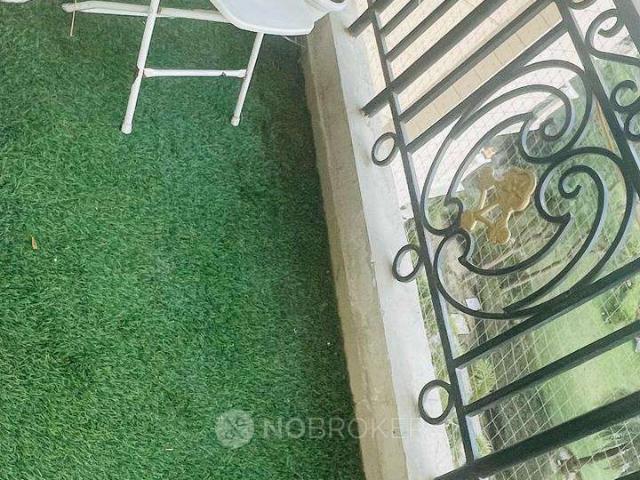 3 BHK Flat In Ace Golfshire for Rent In Ace Golfshire