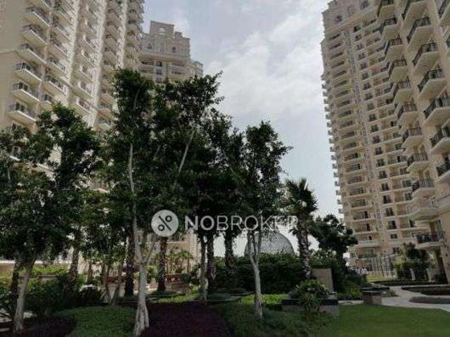 3 BHK Flat In Ace Golfshire for Rent In Sector 150