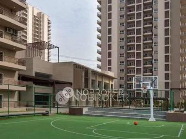 3 BHK Flat In Adani Oyster Grande Tower E for Rent In Gurgaon