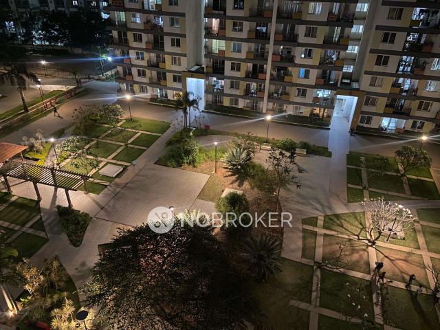 3 BHK Flat In Adarsh Palm Retreat Daffodils for Rent In Bel