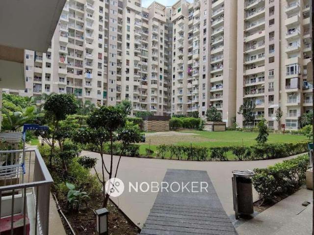 3 BHK Flat In Ajnara Daffodil For Sale In Sector 137