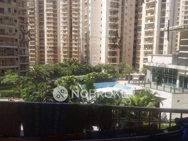 3 BHK Flat In Ajnara Homes for Rent In Sector 121