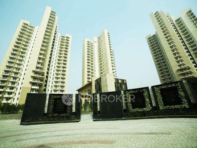 3 BHK Flat In Alpha Gurgaon One for Rent In Sector 84