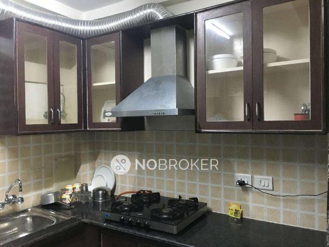 3 BHK Flat In Amna Park for Rent In Sector Omega 1