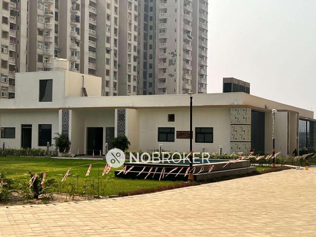 3 BHK Flat In Amrapali Crystal for Rent In Sector 76