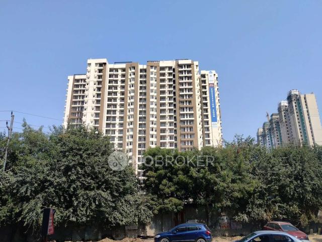 3 BHK Flat In Amrapali Golf Homes For Sale In Sector 4