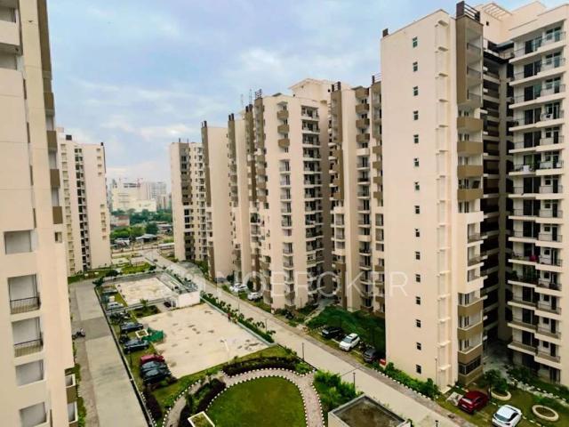 3 BHK Flat In Amrapali Leisure Park for Rent In Amrapali Leisure Valley