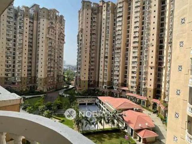 3 BHK Flat In Amrapali Sapphire for Rent In Sector 45