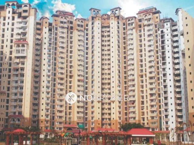3 BHK Flat In Amrapali Sapphire for Rent In Sector 45