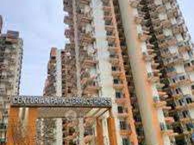 3 BHK Flat In Amrapali Terrace Homes for Rent In Noida Extension Greater Noida West