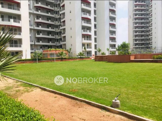 3 BHK Flat In Anantraj Maceo for Rent In Sector 91