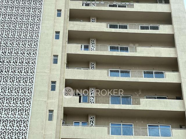 3 BHK Flat In Apex Alphabet for Rent In Bisrakh Jalalpur