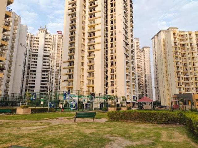 3 BHK Flat In Assotech Windsor Court for Rent In Sector 78