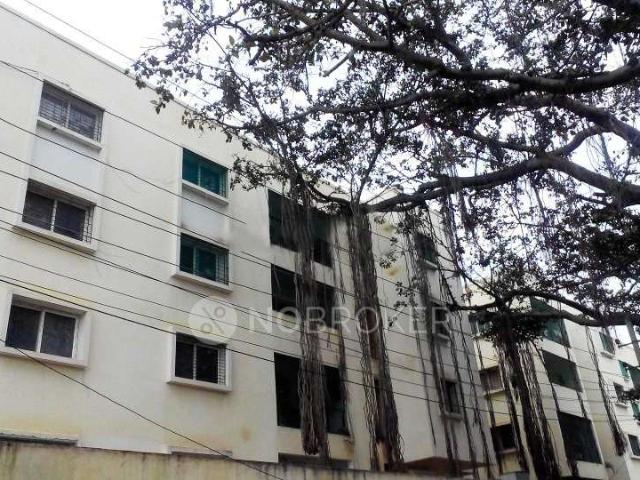 3 BHK Flat In Bhoomija Banyan Tree for Rent In Sarjapur
