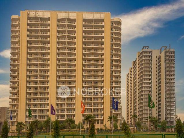 3 BHK Flat In Bptp Terra for Rent In Sector 37 D