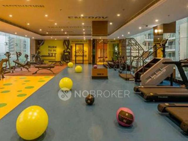 3 BHK Flat In Bptp Terra For Sale In Sector 37d