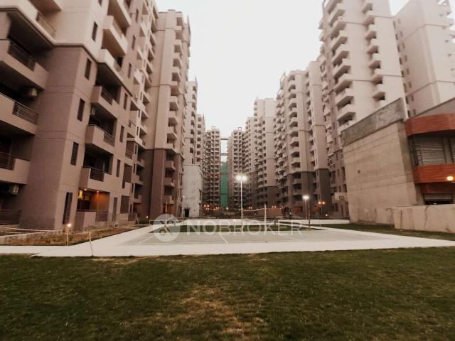 3 BHK Flat In Civitech Sampriti for Rent In Noida