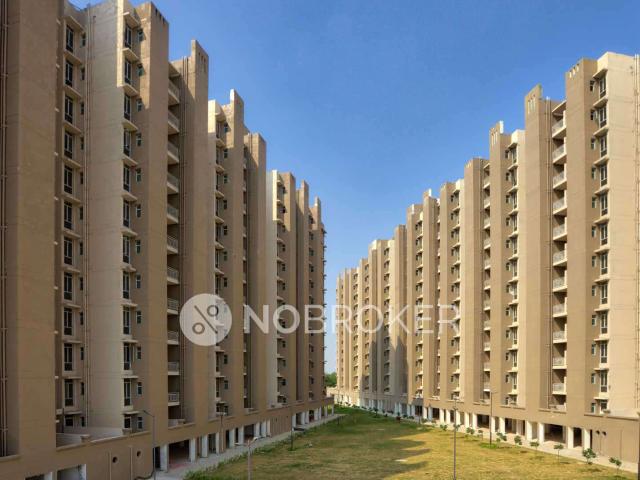 3 BHK Flat In Conscient Habitat for Rent In Sector 78