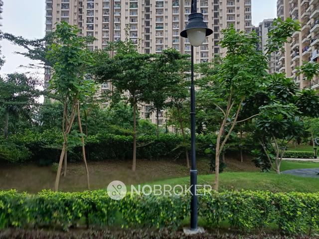 3 BHK Flat In Dev Sai Sportshome For Sale In Noida Extension, Greater Noida