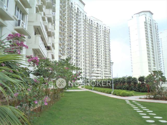 3 BHK Flat In Dlf New Town Height for Rent In Sector 86