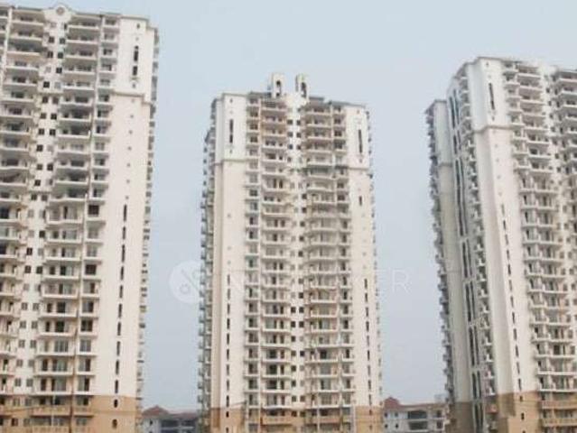 3 BHK Flat In Dlf New Town Heights for Rent In Sector 91