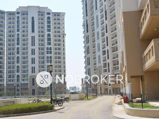 3 BHK Flat In Dlf New Town Heights For Sale In Sector 86