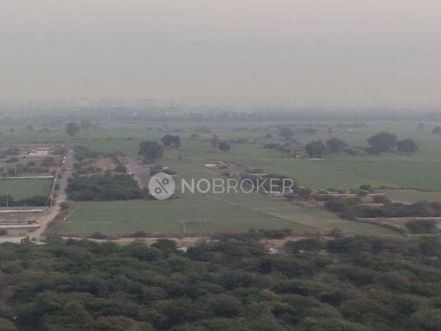 3 BHK Flat In Gulshan Botnia for Rent In Sector 144
