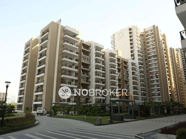 3 BHK Flat In Gulshan Ikebana for Rent In Sector 143