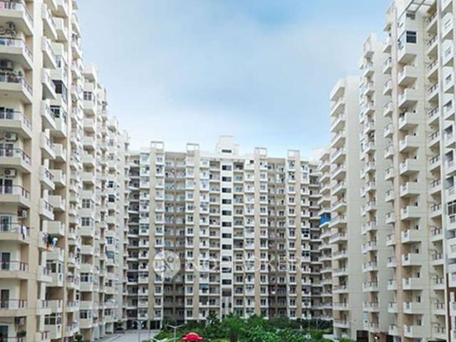 3 BHK Flat In Gulshan Vivante for Rent In Sector 137