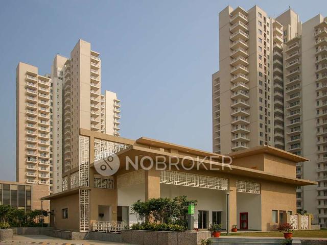 3 BHK Flat In Gurgaonone Sector 84 for Rent In Sector 84