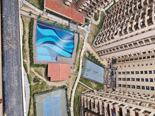 3 BHK Flat In Gaur City 2, Noida Extention for Rent In Noida Extention