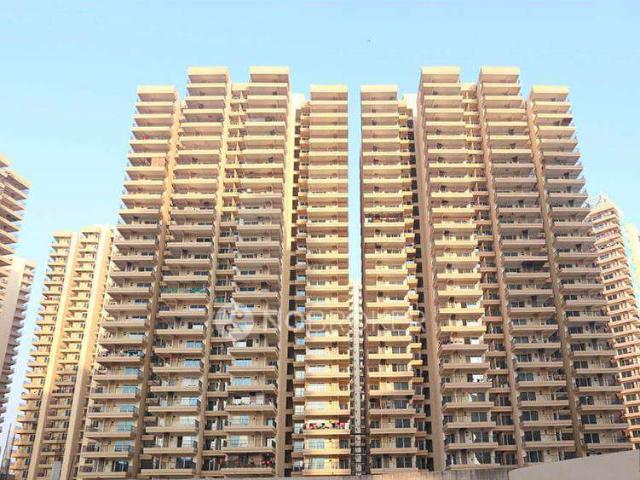 3 BHK Flat In Gaur Yamuna City 16th Park View for Rent In Y