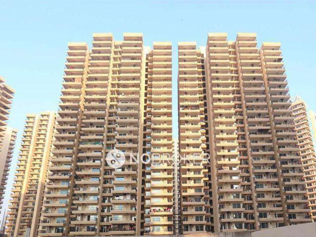 3 BHK Flat In Gaur Yamuna City 16th Park View for Rent In Y
