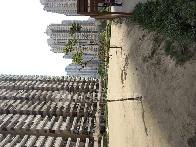 3 BHK Flat In Gaurs Siddhartham for Rent In Siddharth Vihar