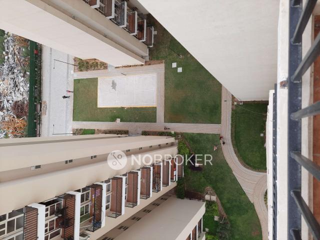 3 BHK Flat In Gls Avenue 51 For Sale In Sector 92