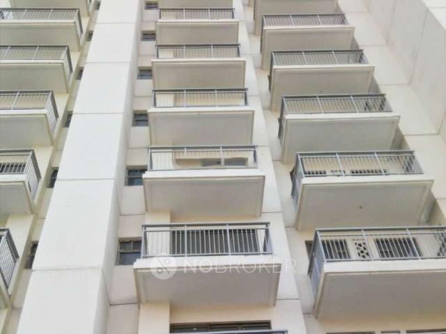 3 BHK Flat In Godrej Frontier for Rent In Sector 80
