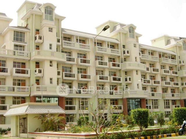 3 BHK Flat In Green Ville for Rent In Sector 49