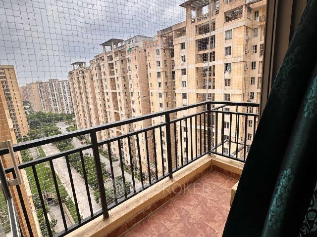 3 BHK Flat In Jaypee Greens Kosmos for Rent In Sector 134