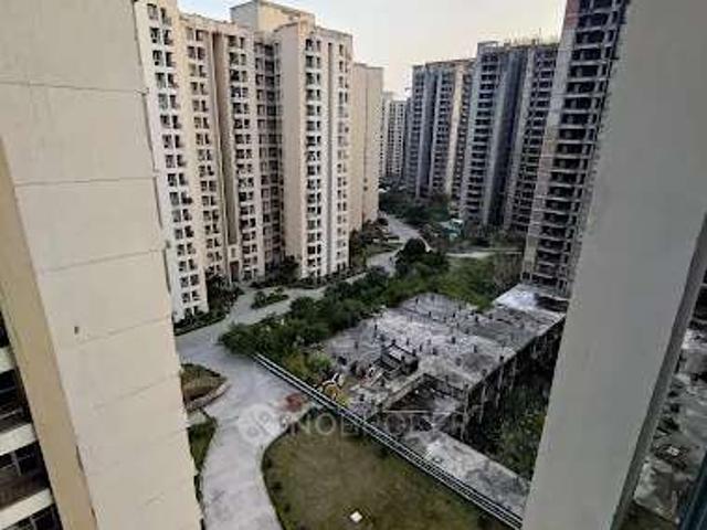 3 BHK Flat In Jaypee Kosmos for Rent In Jaypee Kosmos
