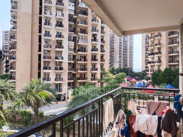 3 BHK Flat In Jkg Palm Court Gaur City 2 Sector 16 C Gh0d1 Greater Noida for Rent In Jkg Palm Court