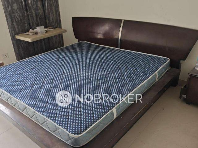 3 BHK Flat In Jm Florence for Rent In Noida Extension