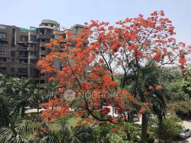 3 BHK Flat In Kailash Dham Society for Rent In Sector 50