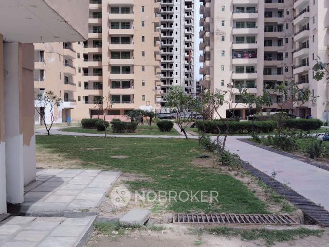 3 BHK Flat In Kbnows Green Society for Rent In Sector 16