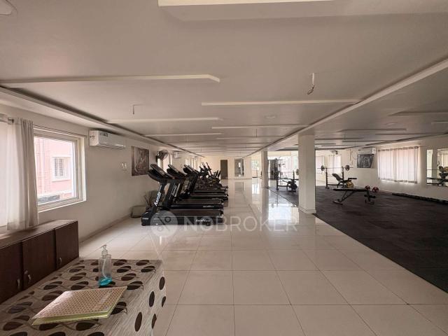 3 BHK Flat In Luxor Apartment Kondapur for Rent In Luxor Ap