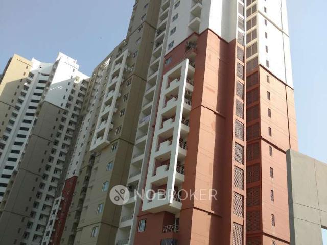 3 BHK Flat In Lotus Panache for Rent In Sector 110