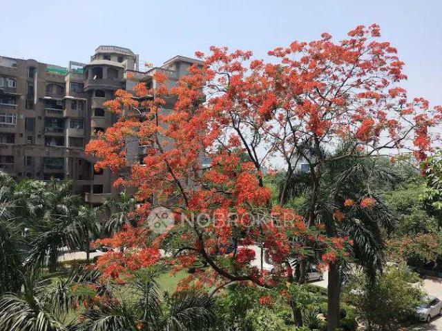 3 BHK Flat In Purvanchal Kailash Dham For Sale In Sector 50