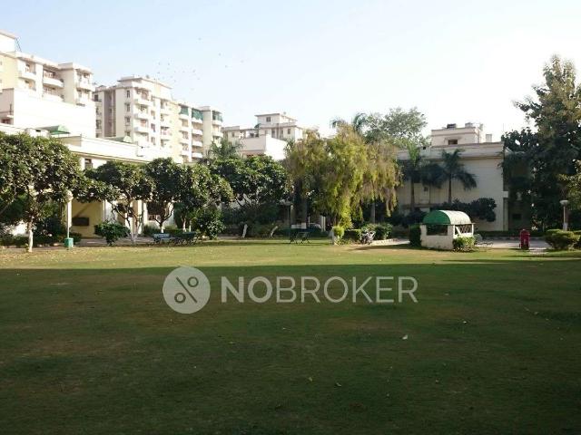3 BHK Flat In Pwo Housing Complex, Sector 43, Gurgaon for Rent In Sector 43, Gurgaon