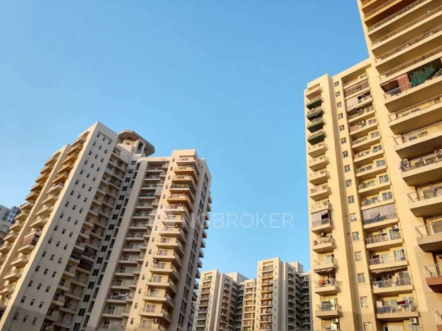 3 BHK Flat In Palm Olympia For Sale In Sector 16c