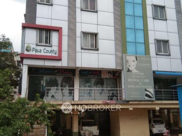 3 BHK Flat In Pala County For Sale In Gachibowli